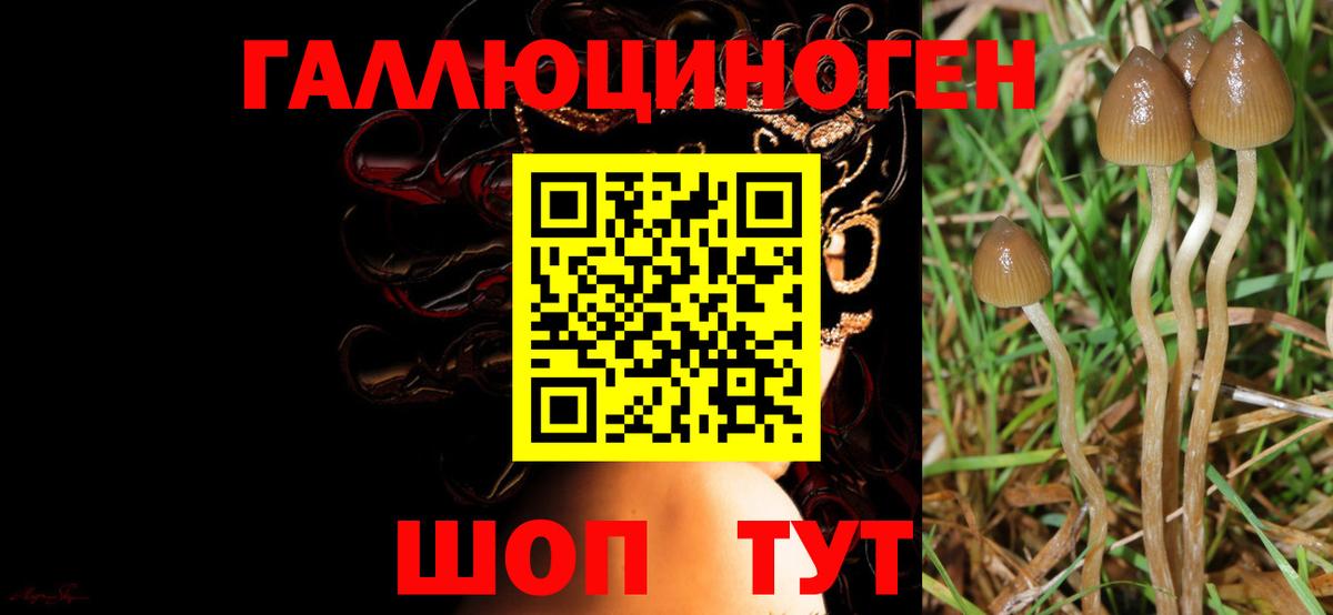 Галлюциногенные грибы прущие грибы Балабаново